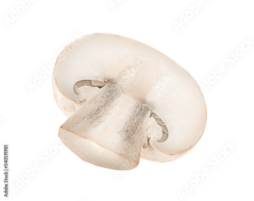 Mushroom champignon isolated on transparent png