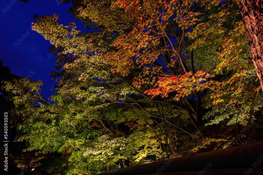 Night fall landscape in the Zenrin-ji Temple Night fall landscape in the Zenrin-ji Temple