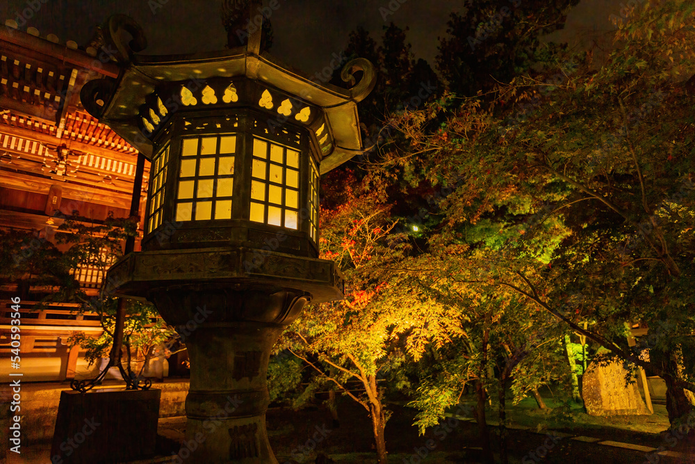 Fototapeta premium Night fall landscape in the Zenrin-ji Temple
