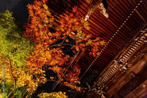 Night fall landscape in the Zenrin-ji Temple