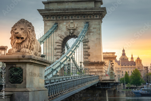 Lion and the chain bridge at dramatic sunrise in Budapest, Hungary photo