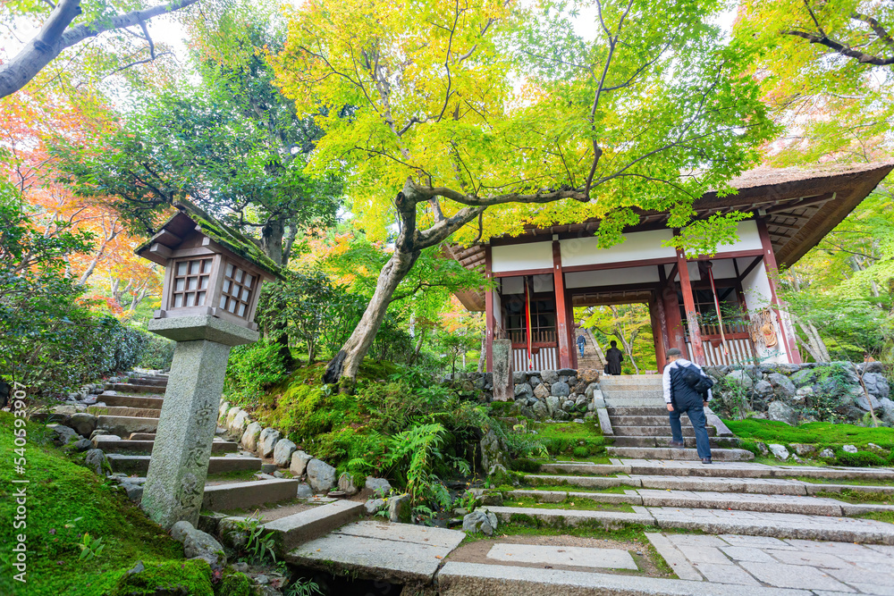 Beautiful fall color in the Jojakko-ji Temple