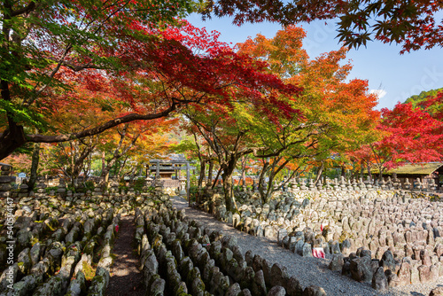 Sunny autumn landscape at Adashino Nenbutsu Ji photo