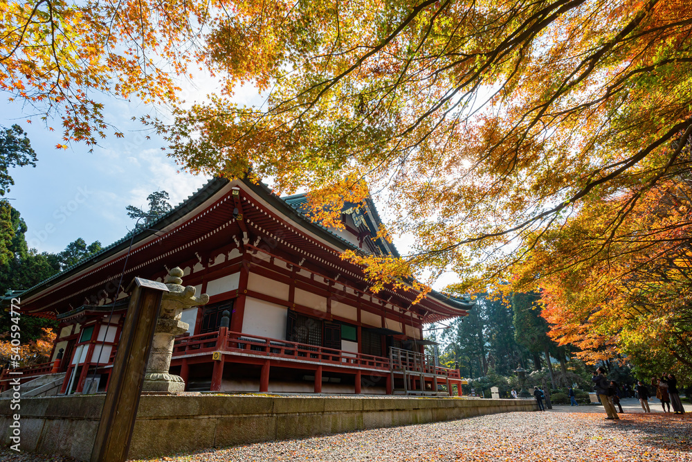 Sunny autumn landsacpe at Mount Hiei Sunny autumn landsacpe at Mount Hiei