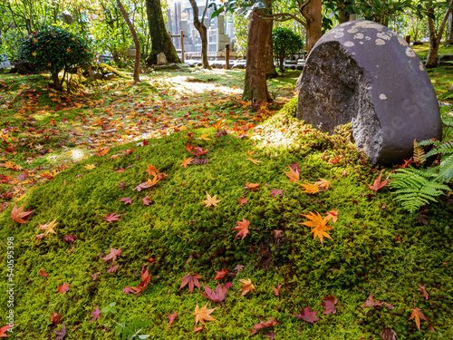 Sunny autumn landscape at Adashino Nenbutsu Ji photo