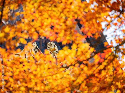 Sunny autumn landsacpe at Mount Hiei photo