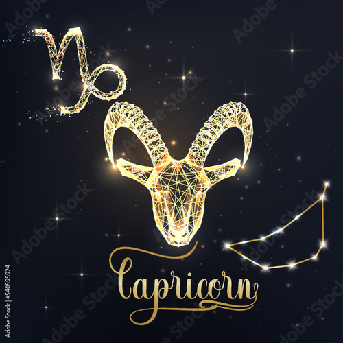 Gold Capricorn zodiac sign poster with goat zodiac figure, symbol glyphs, constellation and name