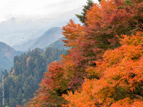 Overcast autumn landsacpe at Mount Hiei photo