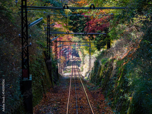 Daytime view of the beautiful fall color along the Eizan Cable Car railway photo