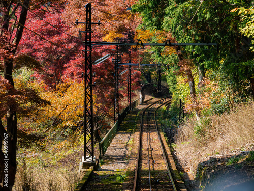 Daytime view of the beautiful fall color along the Eizan Cable Car railway photo