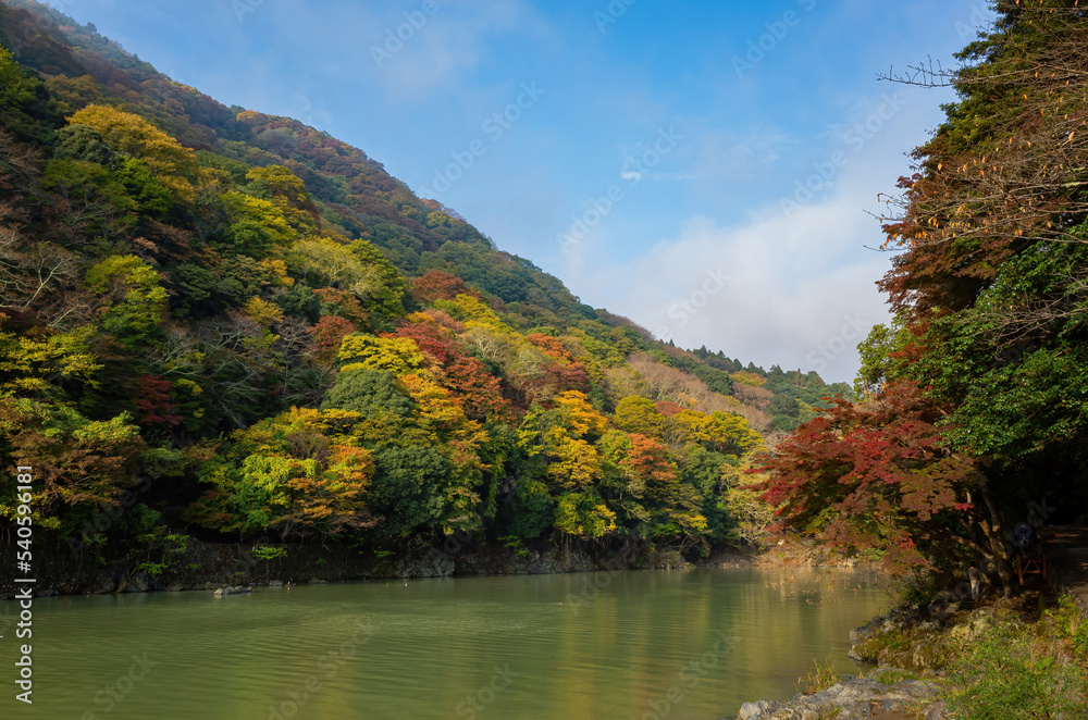 Sunny view of the fall color around Katsura River at Arashiyama Sunny view of the fall color around Katsura River at Arashiyama