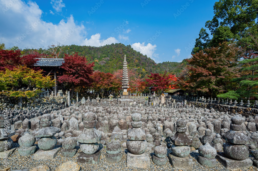 Obraz premium Sunny autumn landscape at Adashino Nenbutsu Ji