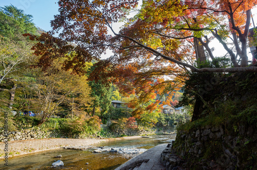 Daytime view of the fall color around Takano River photo