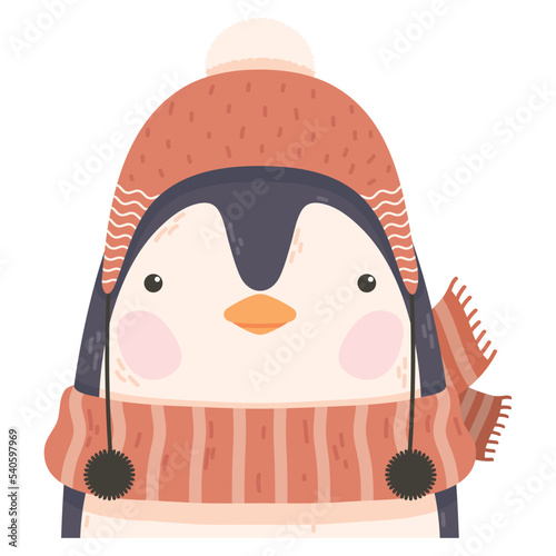 cute penguin winter animal photo