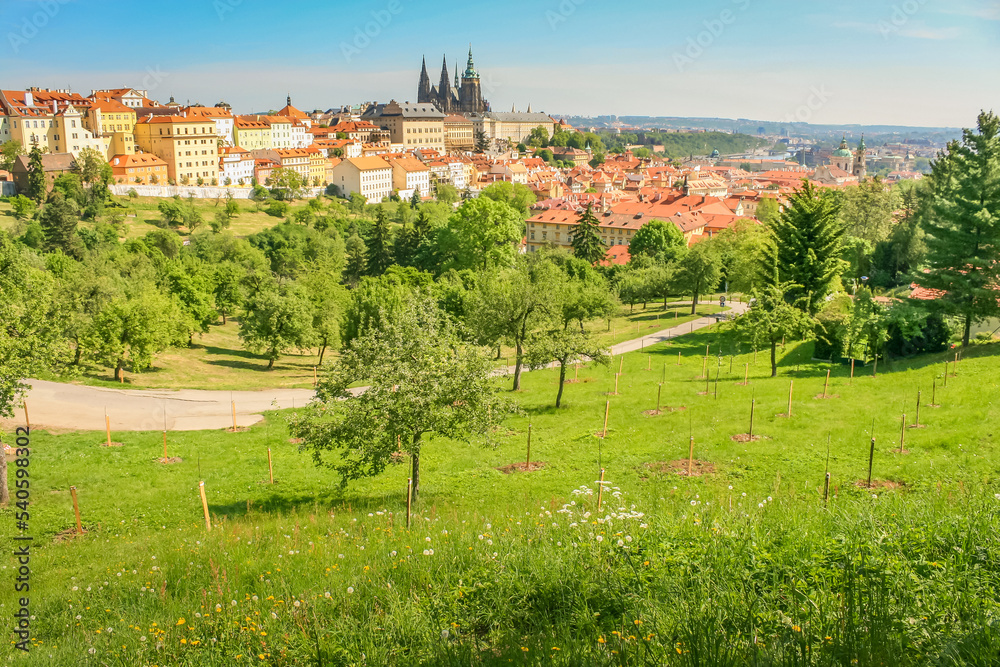 Prague cityscape and park with medieval gothic and baroque city, Czech Republic