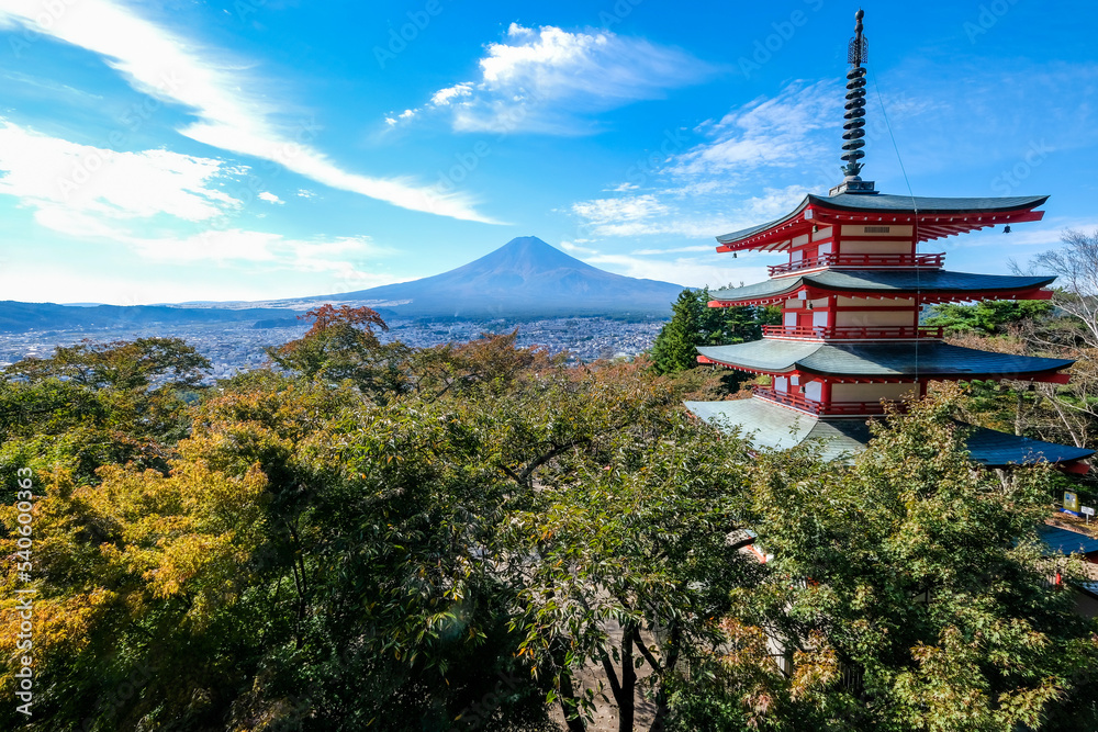 Fototapeta premium 山梨県富士吉田市新倉山からの五重塔と富士山