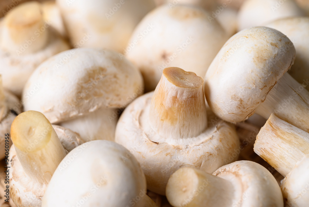 Fresh white champignon mushroom texture background Fresh white champignon mushroom texture background