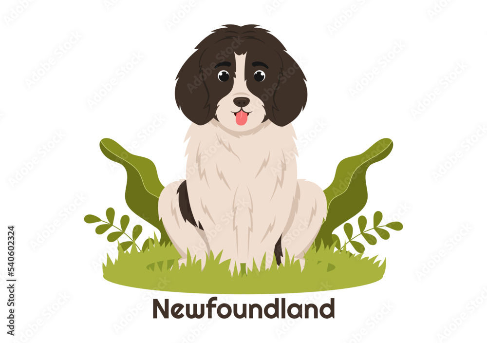 Newfoundland Dog Animals with Black, Brown or Landseer Color in Flat Style Cute Cartoon Template Hand Drawn Illustration Newfoundland Dog Animals with Black, Brown or Landseer Color in Flat Style Cute Cartoon Template Hand Drawn Illustration