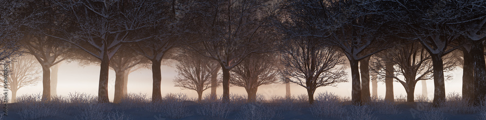 Snow covered Trees create Beautiful Winter Woodland Banner. Seasonal Concept. Snow covered Trees create Beautiful Winter Woodland Banner. Seasonal Concept.