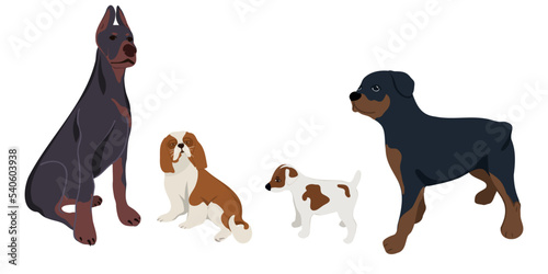 Set of cute dogs isolated on white background. Vector illustration