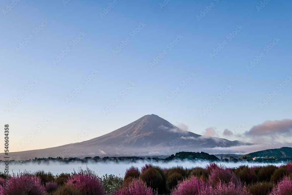Naklejka premium 早朝の山梨県河口湖と富士山