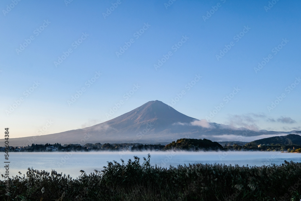Fototapeta premium 早朝の山梨県河口湖と富士山