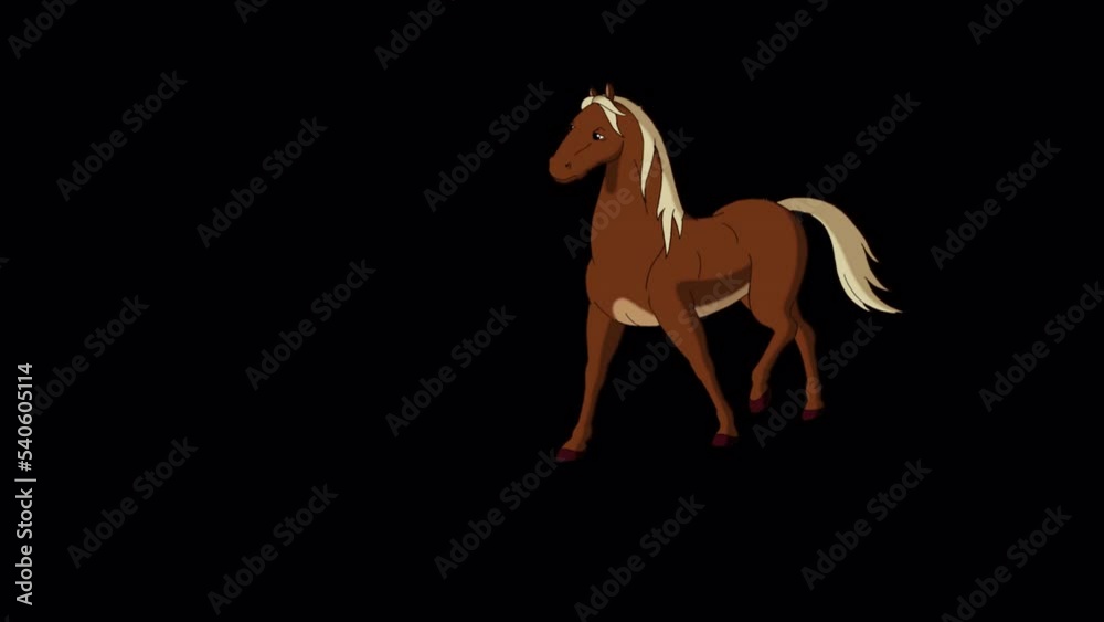 Brown Horse walks back and forth alpha matte 4K Brown Horse walks back and forth alpha matte 4K