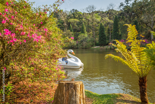 Lago Negro Black Lake with Swan Pedal Boat , Gramado, Rio Grande do Sul, Brazil photo