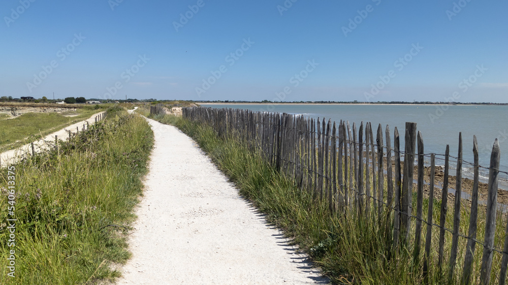 pathway coastal path access of sand beach in La Rochelle ocean atlantic coast in France