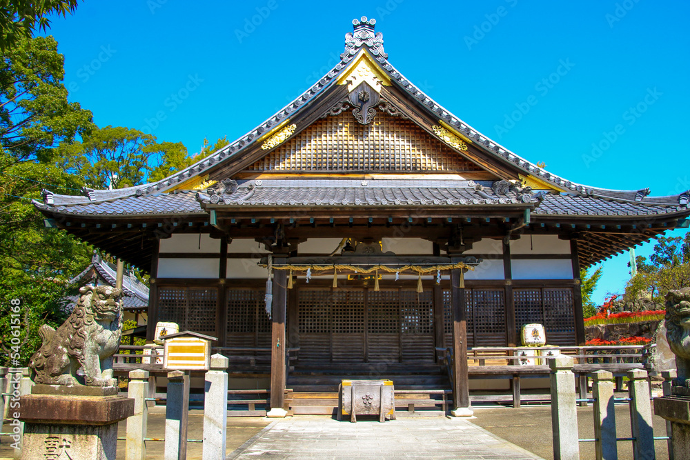 Obraz premium 九華公園