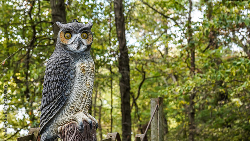 Selective focus artificial owl deters birds and keeps watch over the forest photo