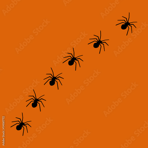 Vector illustration of spider halloween ornament © Abhinaya Project