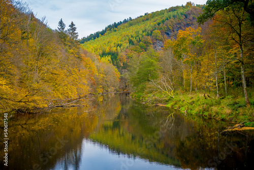 Fototapeta Naklejka Na Ścianę i Meble -  View on the river Ourthe in the Belgian national park Two Ourthes in the Ardennes of Wallonia, Belgium during autumn