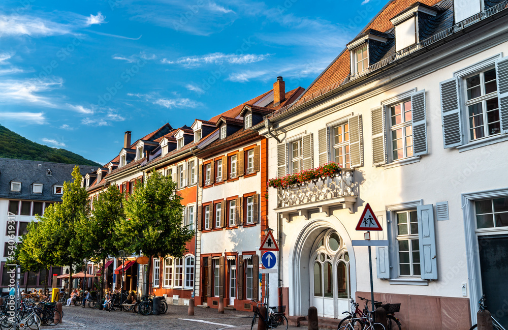 Traditional architecture of Heidelberg in Baden-Wuerttemberg, Germany
