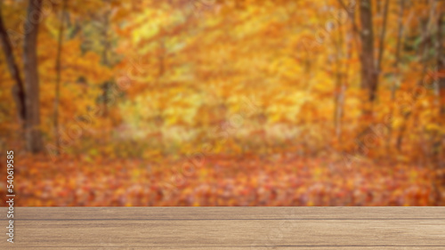 Fototapeta Naklejka Na Ścianę i Meble -  The wood table on autumn forest background  3d rendering