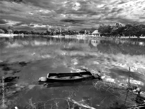 It's nature in the shadows of the sky.