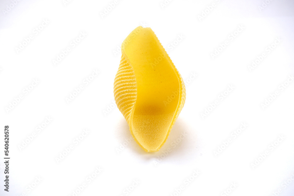 Conchiglioni Conchiglioni