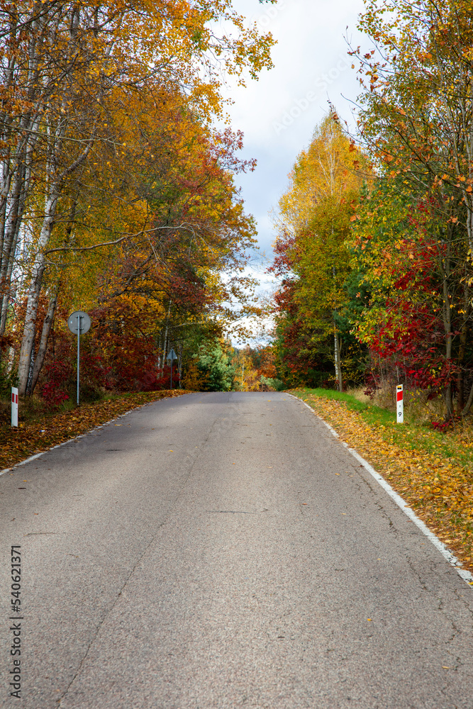 Jesienny krajobraz wsi na Podlasiu, 