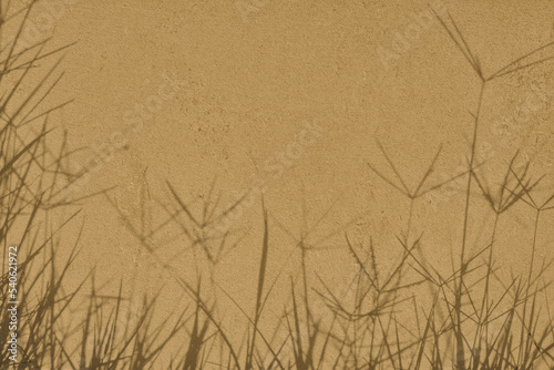Delicate grass shadows on beige concrete wall texture with roughness and irregularities. Abstract trendy colored nature concept background. Copy space for text overlay  poster mockup flat lay 