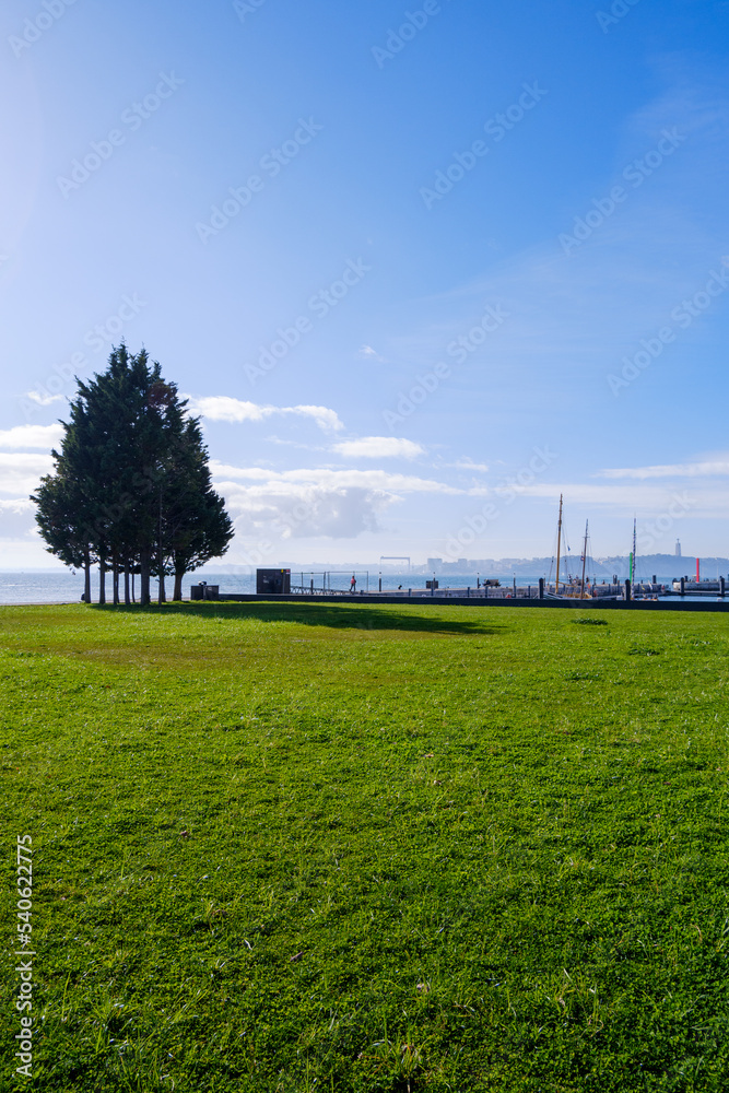 Obraz premium grass and blue sky, sea in Lisbon, Portugal