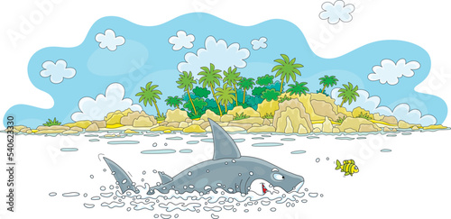 Funny great white shark and...