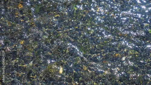 小川の水面に反射する太陽の光　キラキラ