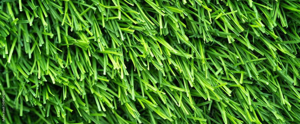 green grass background green grass background