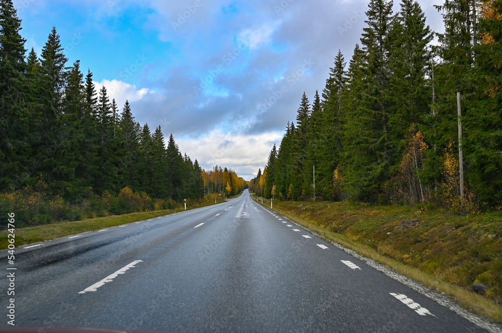 Foto from car driving through autumn forest in Sweden