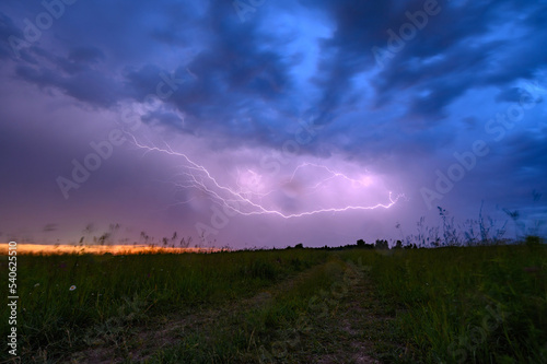 Thunderstorm atmosphere with lightning over wheat fields with cloudy sky