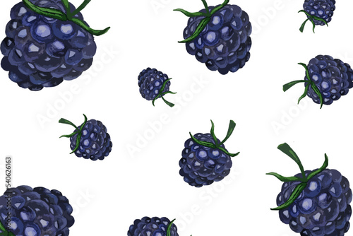 Blackberries pattern background Vector watercolor. Summer delicious fruits cards