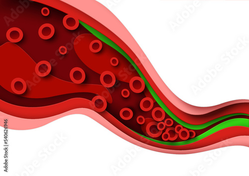 Cholesterol blood artery vessel, vein 3d anatomy