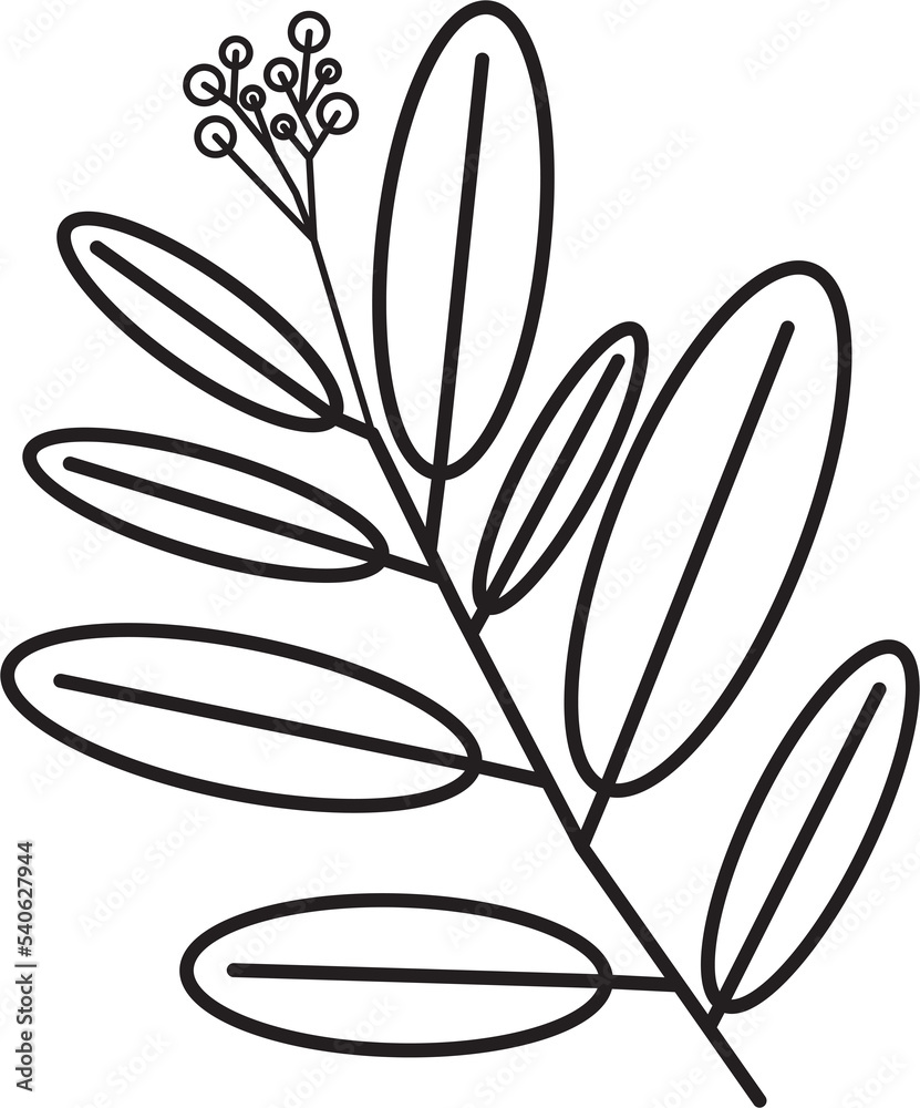 simplicity floral leaf drawing simplicity floral leaf drawing