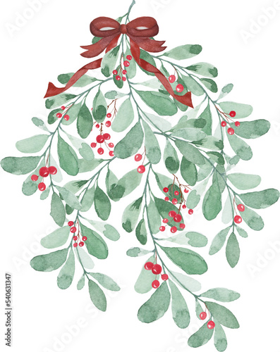 Watercolor artwork Christmas mistletoe over white background - Christmas celebration decoration object concept