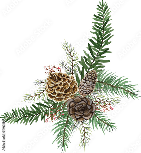 Watercolor vector artwork Christmas pine cone with green leaves branch over white background - Christmas new year celebration decoration object concept